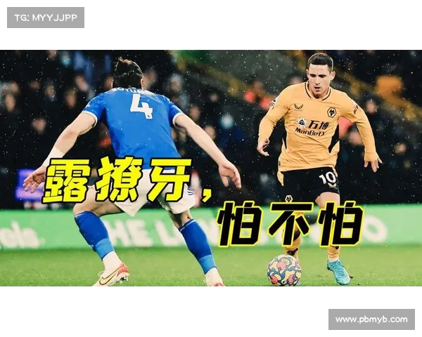 狼队主场失利,争四形势严 狼队主场失利,争四形势严