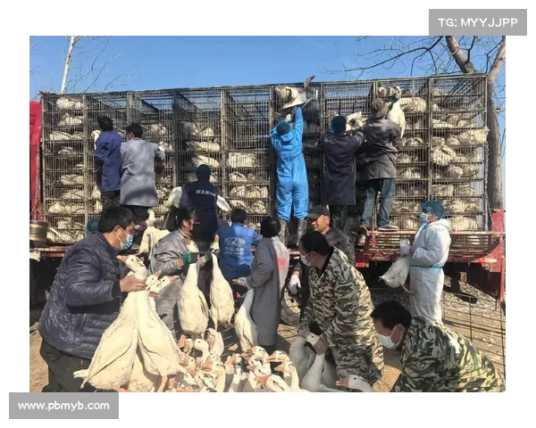 美国准备迈出下场锤鹅第一步:新政策对全球农业产业的影响(美国农业政策对我国农业发展的启示) 美国准备迈出下场锤鹅第一步:新政策对全球农业产业的影响(美国农业政策对我国农业发展的启示)